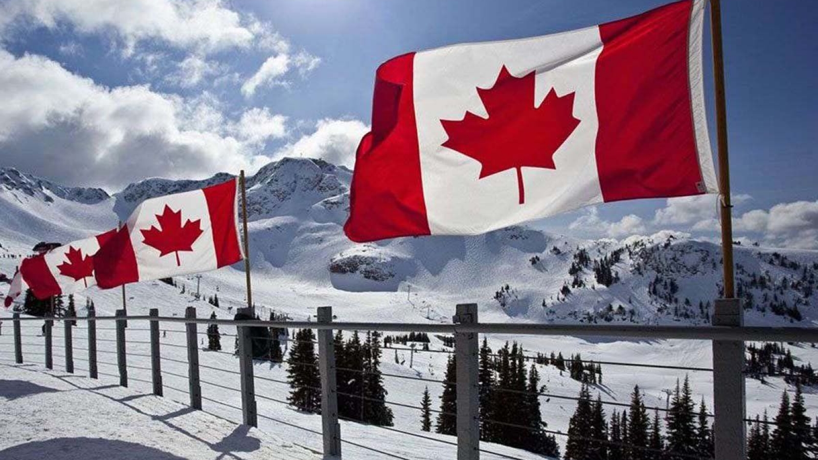 Canada Study Visa Consultant In Chandigarh