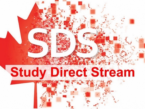 f05cea_b1f902ad59cc4e54af8872c7142c3acc_mv2