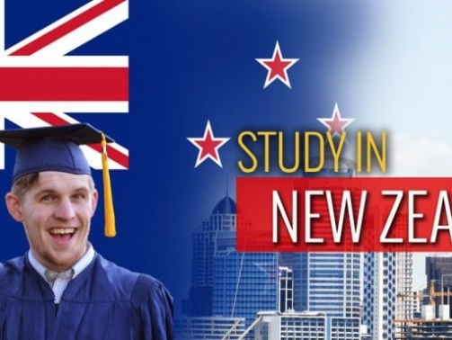 Best Cities to Study in New Zealand