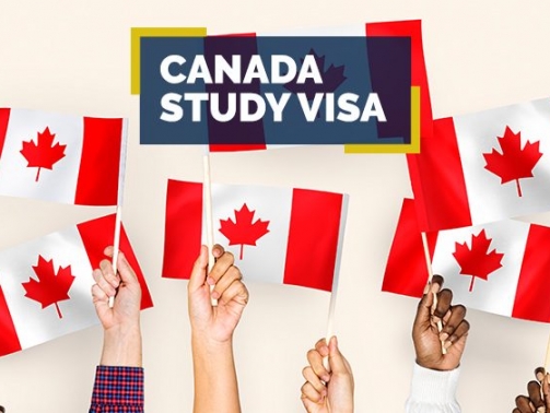 Canada Study Visa Consultant in Patiala