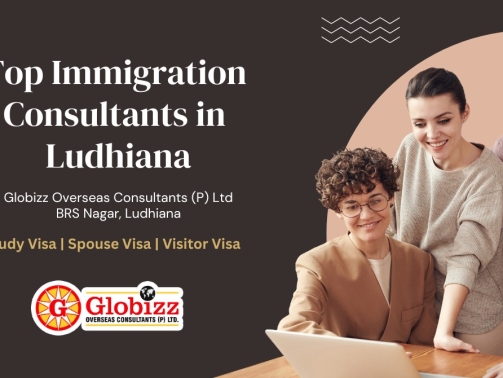 Top Immigration Consultant in Ludhiana